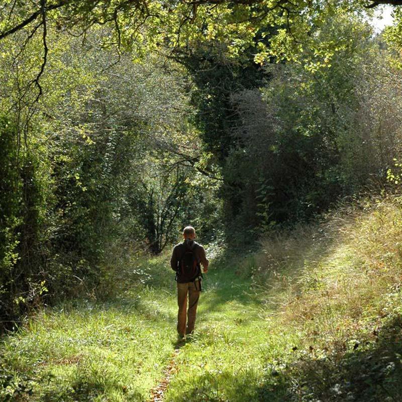 Natuur wandelen